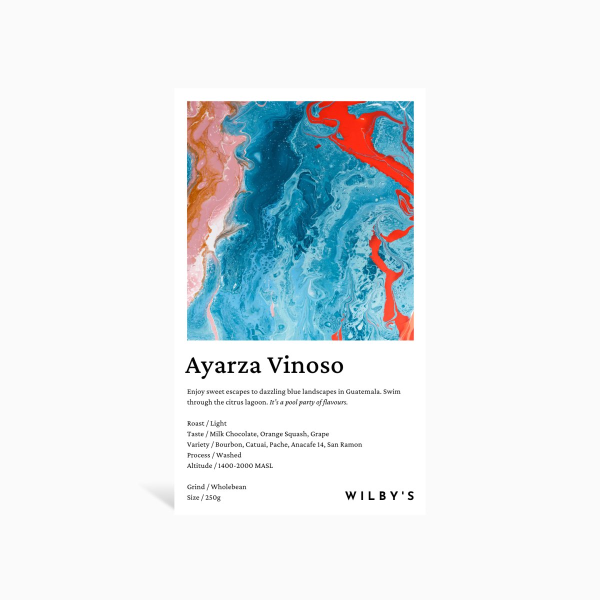 Guatemala - Ayarza Vinoso - Wilby&